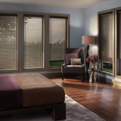 Hunter Douglas Aluminum Mini Blinds