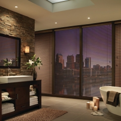Hunter Douglas Aluminum Mini Blinds
