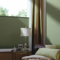 Hunter Douglas Duette® Honeycomb Shades