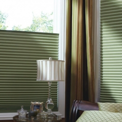 Hunter Douglas Duette® Honeycomb Shades