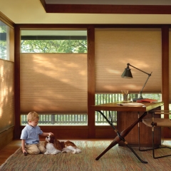 Hunter Douglas Duette® Honeycomb Shades