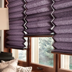 Graber Pleated Shades