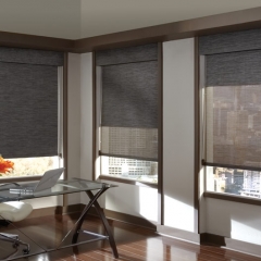 Hunter Douglas Designer Roller Shades With Matching Valance