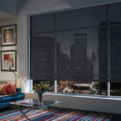 Hunter Douglas Designer Roller Shades