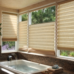 Hunter Douglas Vignette® With Top Down Bottom Up