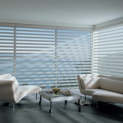 Hunter Douglas Pirouette® Window Shadings