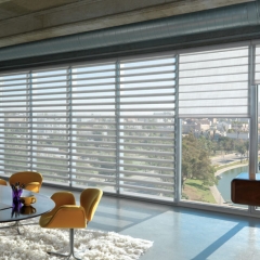 Hunter Douglas Pirouette® Window Shadings