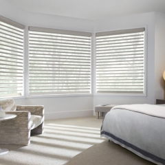 Hunter Douglas Pirouette® Window Shadings